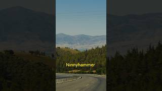 Ninnyhammer means shorts viral english trending englishteacher ninnyhammer vocabulary facts [upl. by Kamillah]