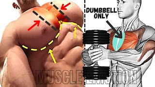 6 BEST INNER CHEST EXERCISES WITH DUMBBELLS ONLY AT HOME OR GYM [upl. by Samella]