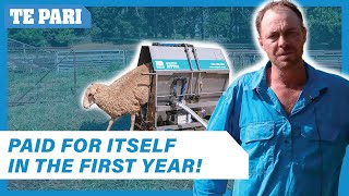 SAVE Money with the Te Pari Sheep Jetter  Aaron Granger [upl. by Nylirak]