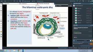 Events of 2nd Week of Pregnancy  Formation of Placenta  Dr Ahmed Farid [upl. by Drarej]