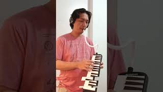 APT Melodica Cover apt aptchallenge melodicacover aptrose fyiシ゚viral [upl. by Nospmas]