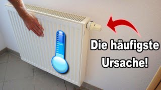 Heizung wird nicht warm  So behebst du die häufigste Ursache schnell selbst [upl. by Efar]