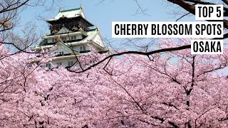 Osaka Top 5 Best Cherry Blossom Spots Japan [upl. by Schubert]