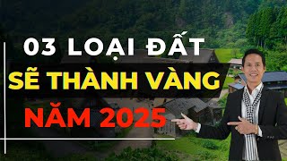 03 loại đất trở thành vàng khi luật đất đai mới thực thi năm 2025  Hiệp Bất Động Sản Official [upl. by Kessia]