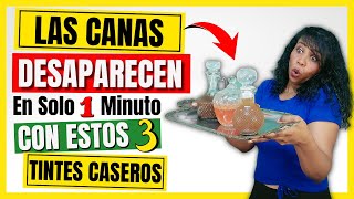 3 TINTES CASEROS para las CANAS  Como CUBRIR las Canas NATURALMENTE  Rápido y Fácil [upl. by Kaleb]