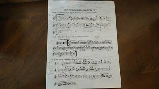 2024 Triangle Youth Symphony Clarinet Audition Excerpts [upl. by Jeddy]