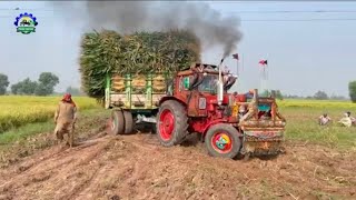 Tractor Fail Complications  Belarus 510 Hard Struggle To Pull Overload Trailer [upl. by Irak]