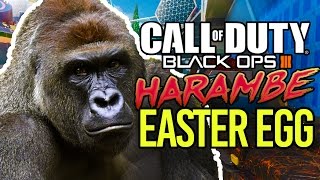 BLACK OPS 3 HARAMBE EASTER EGG [upl. by Dione687]