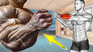 5 Forearms Exercises to Improve Hand Grip Strength [upl. by Einot917]