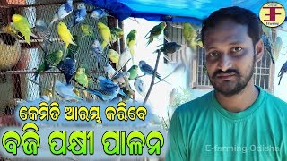 ବଜି ପକ୍ଷୀ ପାଳନ  କେମିତି ଆରମ୍ଭ କରିବେ ଏହାର ଫାର୍ମ ରୋଜଗାରର ଏକ ନୂତନ ମାଧ୍ୟମ  Exotic Birds Farming [upl. by Lipps]