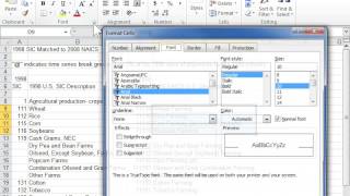 Format Text as Strikethrough  Excel 2010 [upl. by Pinkham]