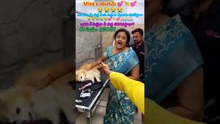 క్షమించుతల్లి💕🦮😭😭doglover animallover dogdead doctorhospitalstraydogslover pets momemotional [upl. by Bever]