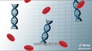 Horizontal Gene Transfer in Evolution [upl. by Enitsirhc398]