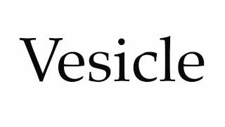 How to Pronounce Vesicle [upl. by Eelan558]