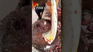 King 🔥 Saram Fish Cutting Part1 Karachi Market Pakistan fishkurt  shorts short youtubeshorts [upl. by Fasano]