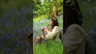 The Lord of the Rings  Concerning Hobbits on Tin Whistle in Middle Earth whistle shorts [upl. by Nyladnar]