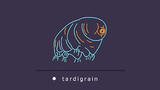 Tardigrain The Missing Manual [upl. by Alatea]