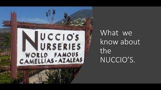 What do we know about the Nuccios [upl. by Miza]