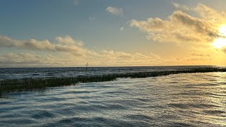 Lake Okeechobee Fishing Report  Summertime [upl. by Seraphim273]