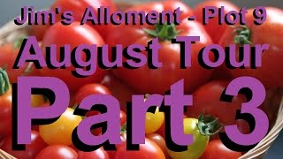 Jims Allotment  Plot 9  August Tour Part 3  Espalier trees Tomatoes Spinach and Comments [upl. by Notelrahc]