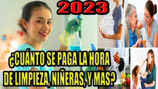 👉 CUANTO SE PAGA LA HORA de empleada domestica 2023 niñera cuidado de personas cocineros [upl. by Louie]