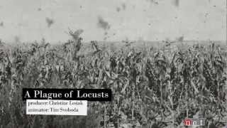 A Plague of Locusts  Nebraska Stories [upl. by Jotham]