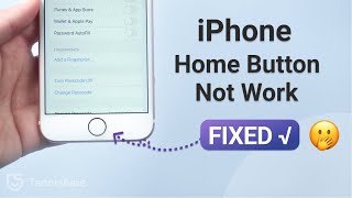 ANY iPhone How To Add a Back Button [upl. by Norehs]