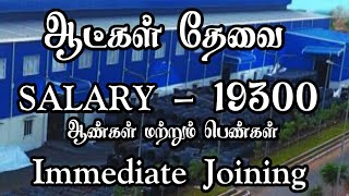 💥 ஆட்கள் தேவைசம்பளம்  19300RoomFoodChennai Job Vacancy 2024 TamilChennai Jobs Today Openings [upl. by Noived715]