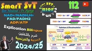 112 NAD  FAD et ATP 202425BIOF [upl. by Michigan]