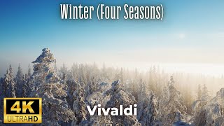 Vivaldi  Winter Four Seasons 4K [upl. by Costa809]