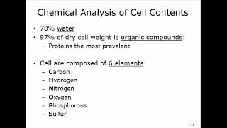 Microbiology Chapter 7 Nutrition Ecology and growth By Dr Saudi [upl. by Asen185]