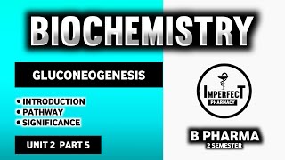 Gluconeogenesis  Carbohydrate Metabolism  Biochemistry  B Pharma 2nd Semester [upl. by Gabey919]