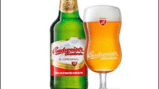 29 Original Budweiser Budvar Czech lager 572 [upl. by Nuy]