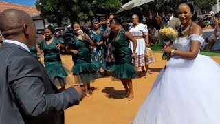 Taxi Operators Big Wedding 🇿🇦 5 Cows Music Food Dance Gifts and Vibes Caryl Marrying Mumsy [upl. by Linnet805]