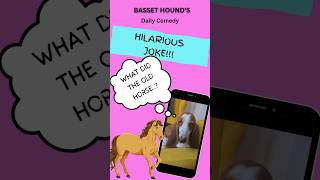 Hilarious horse joke from Basset Hounds daily comedy Very funny 🤣 [upl. by Zavras]