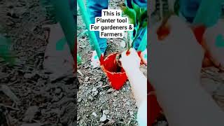 How to plant seedlings using planter tool shorts TropicalTasteChannel [upl. by Sioux]