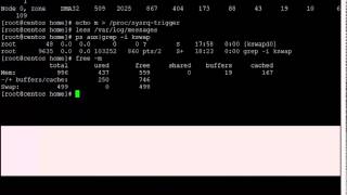 Linux Memory Management [upl. by Trubow769]