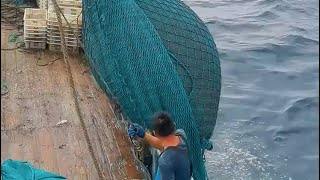 A fishing boat in the US earned a million dollars overnight fishtrappingskills fish [upl. by Ynnep]