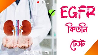 egfr test bangla  egfr test normal range [upl. by Alasteir]