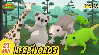 Herbívoros Episodio Compilación Parte 33 Español  Leo El Explorador  Animación  Familia [upl. by Okikuy]