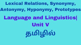 Lexical Relations Synonymy Antonymy Hyponymy Prototypes Language and Linguistics தமிழில் [upl. by Hairacaz430]