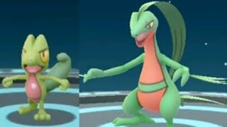 I evolve my treecko into grovyle [upl. by Nuhsal974]