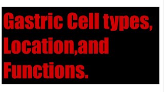 Gastric Cell types Locationand Functions [upl. by Anohr]