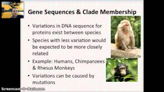 IB 54  Cladograms [upl. by Hsejar]