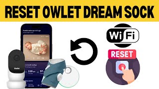 How To Reset Owlet Dream Sock [upl. by Yeldnarb]