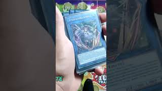 → Traptrix Deck Profile Antes de Ban List Abril 2024 yugioh tcg deck game konami yugi pt9 [upl. by Atilrep]