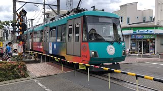 Tokyu Setagaya Line Trams at Sangenjaya 6924 [upl. by Aicala701]