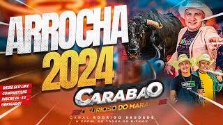 CARABAO ARROCHA EDIÇÃO ESPECIAL 2024 [upl. by Yffub345]