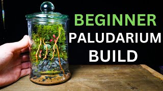 Nano Paludarium Tutorial  EASY Beginner Friendly Guide [upl. by Suirradal]