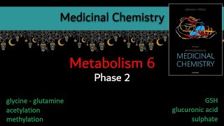 12 Metabolism 6 phase 2 Conjugation  Medicinal chemistry بالعربي [upl. by Pomfrey]